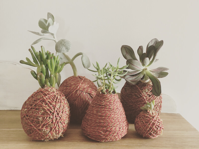 Things to do in quarantine for teens: Make kokedama